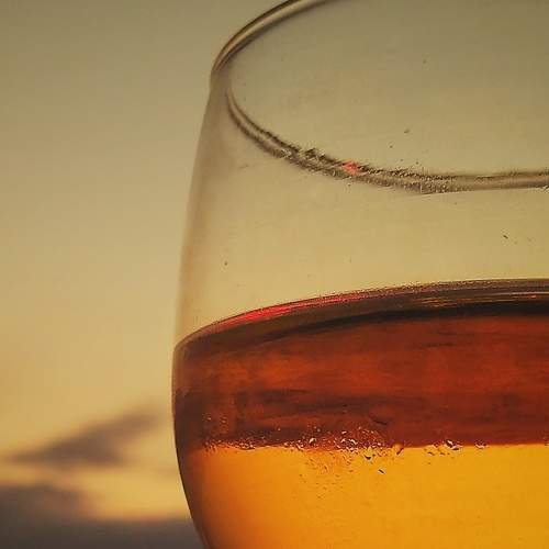 Photo #7687084