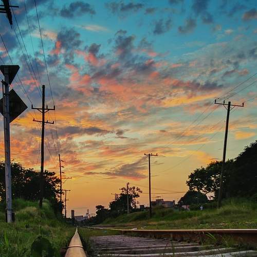Photo #7687104