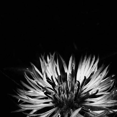 Photo #7687165
