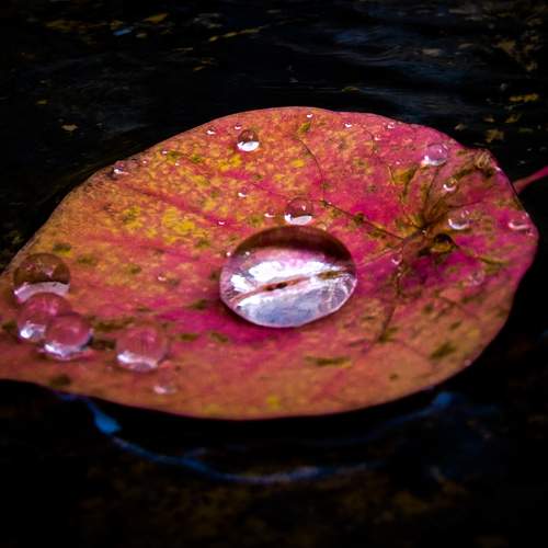 Photo #7687554