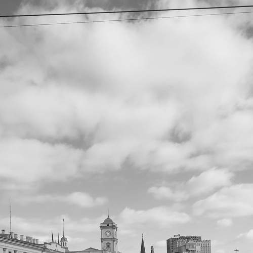 Photo #7687620