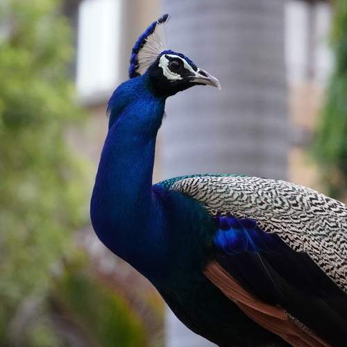 Photo #7687777