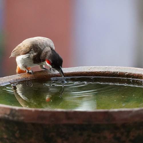 Photo #7687783