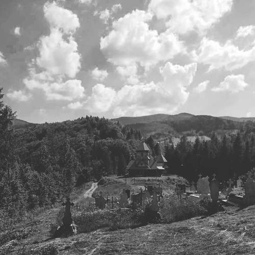 Photo #7687847
