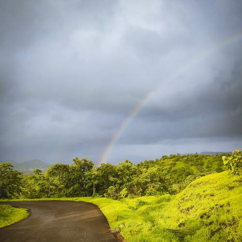 Photo #7687912