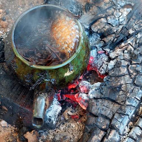 cooking tea