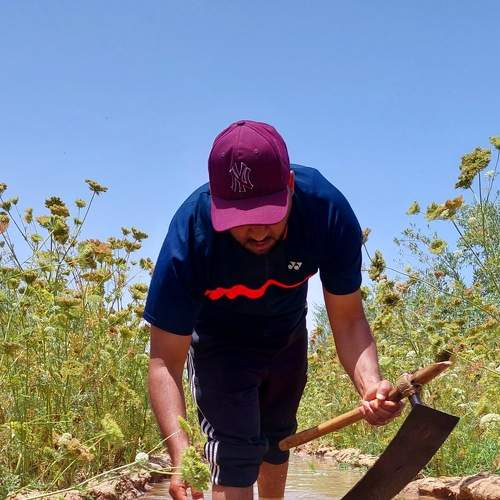 Photo #7688008