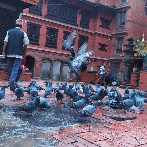 Photo #7688114