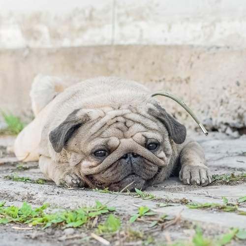 Photo #7688115