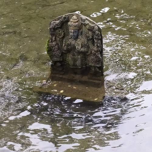 Photo #7688148
