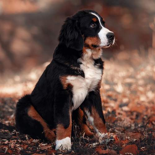 Photo #7688172