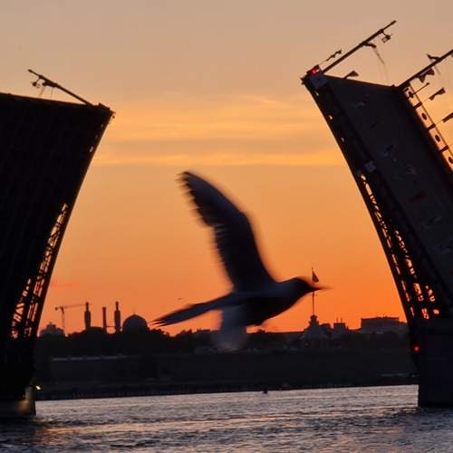 Photo #7688257