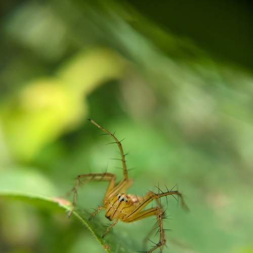Photo #7688333