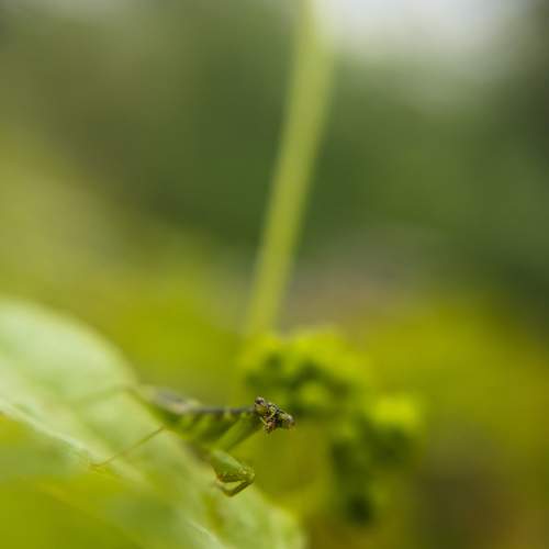 Photo #7688340