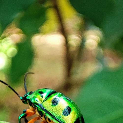 One of the many jewels of Mother Nature