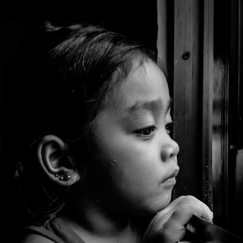 Photo #7688398