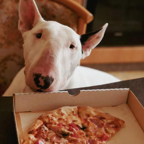 Photo #7688474