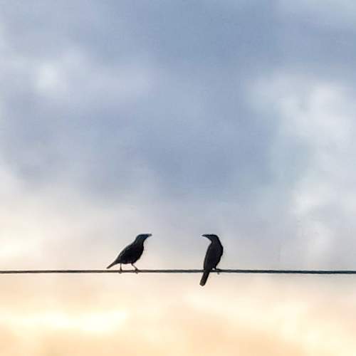 Photo #7688548