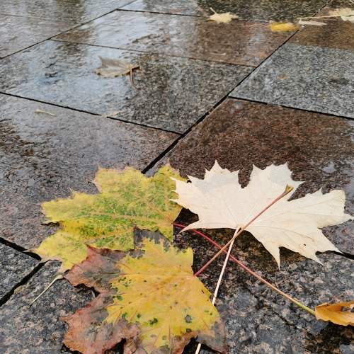 Photo #7689238
