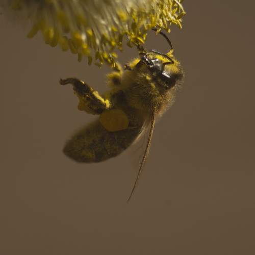 Photo #7689662