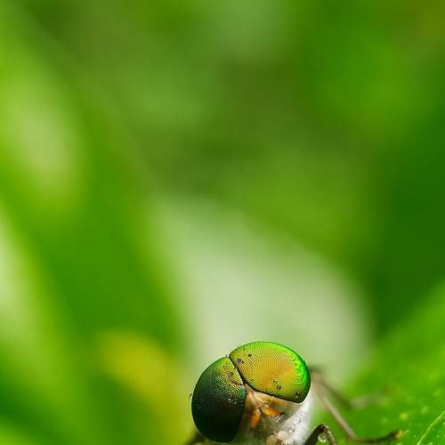 Photo #7689694