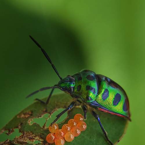 Photo #7689879