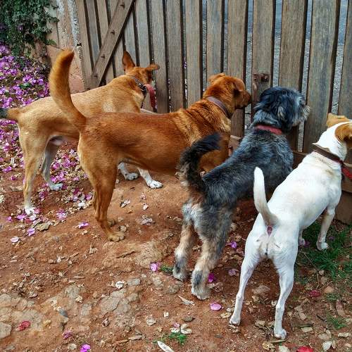 Photo #7689958