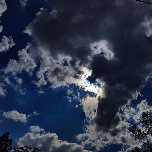 Photo #7690082