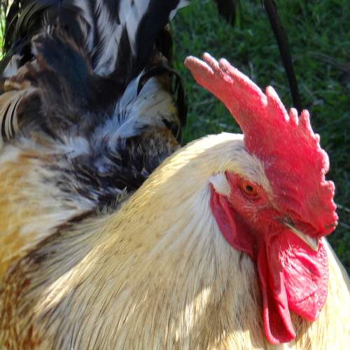 Photo #7690137