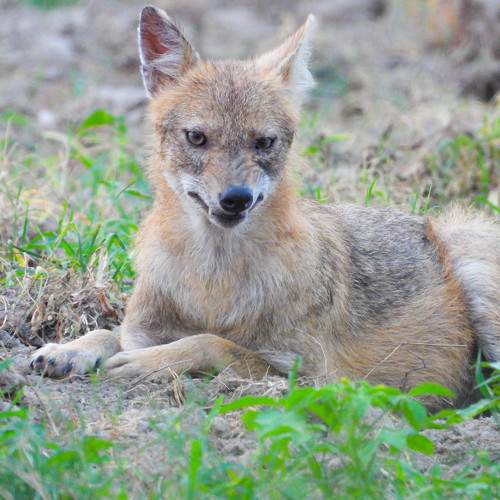 Photo #7690153