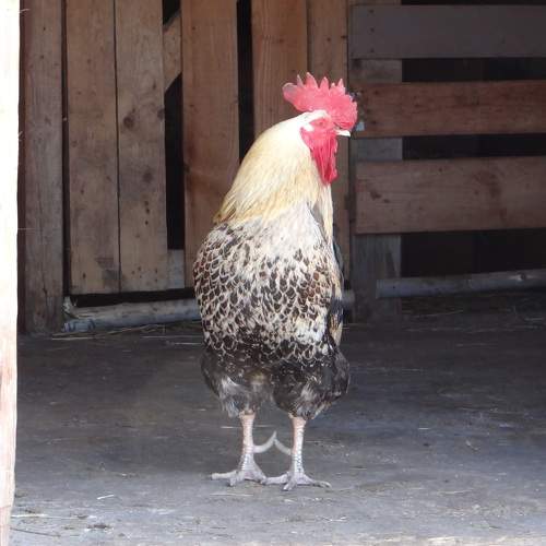 Photo #7690158