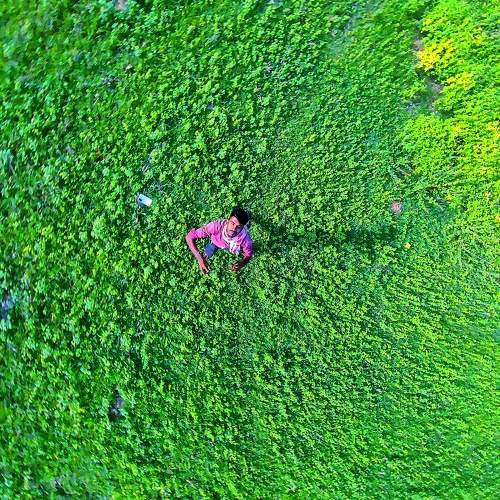 Photo #7690174