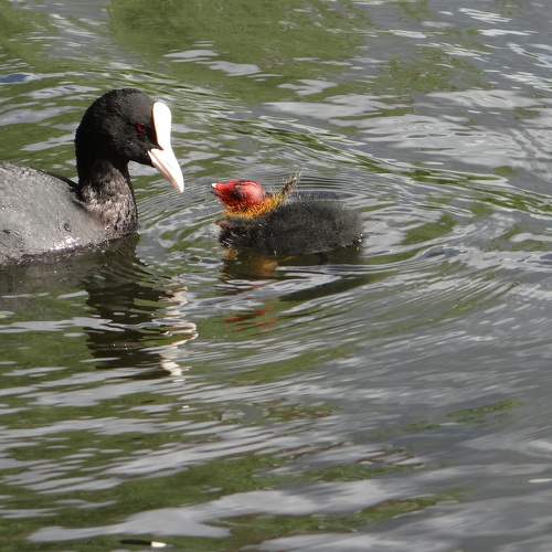 Photo #7690198