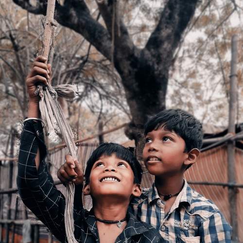 Photo #7690211