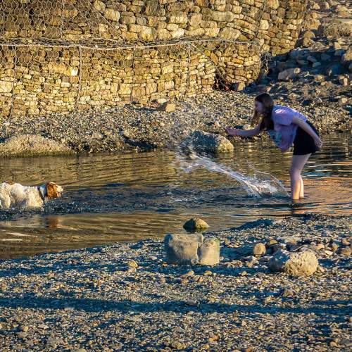 Photo #7690313