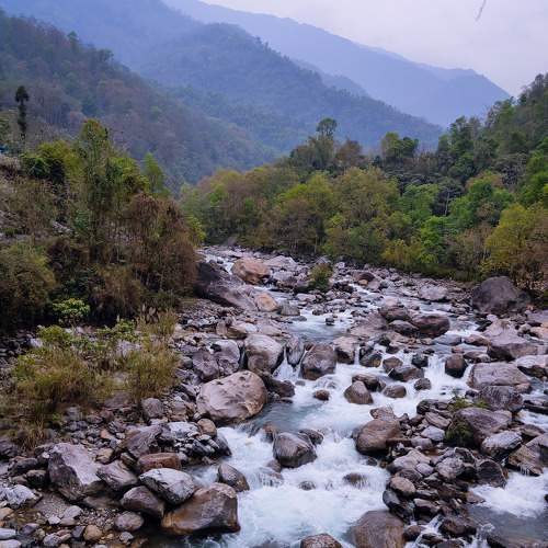 Photo #7690489