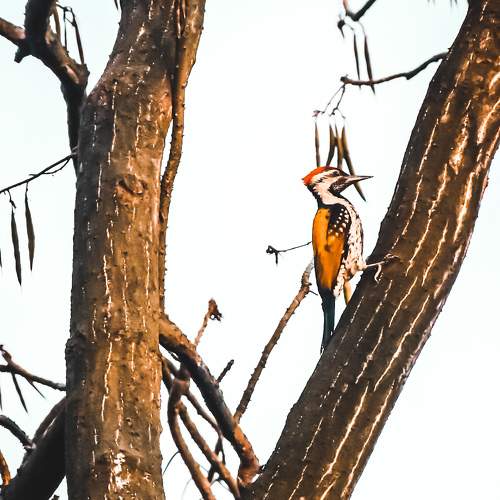 Photo #7690507