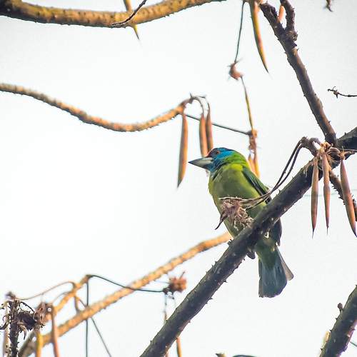 Photo #7690508