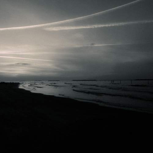 Photo #7690528