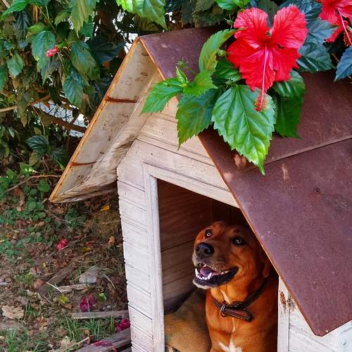 Photo #7690743