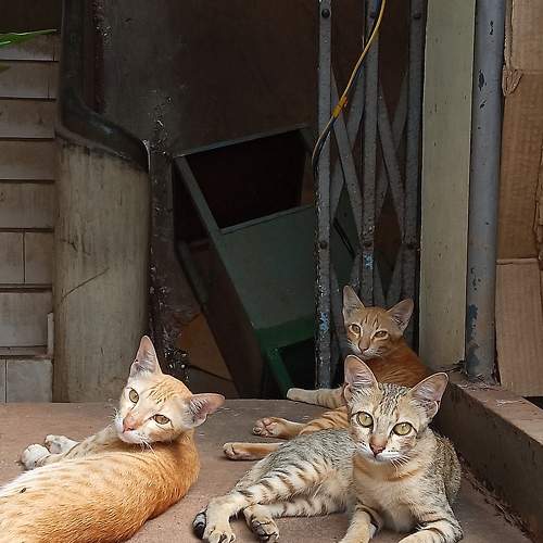 Photo #7690749