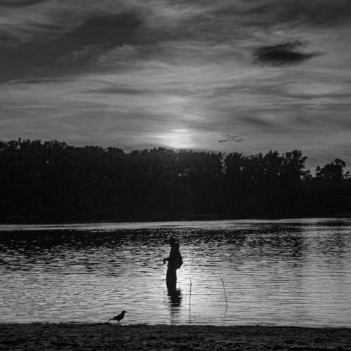 Photo #7690808