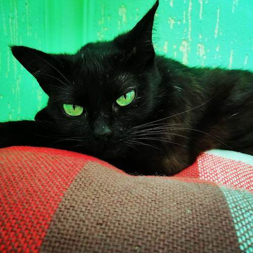 Photo #7690817