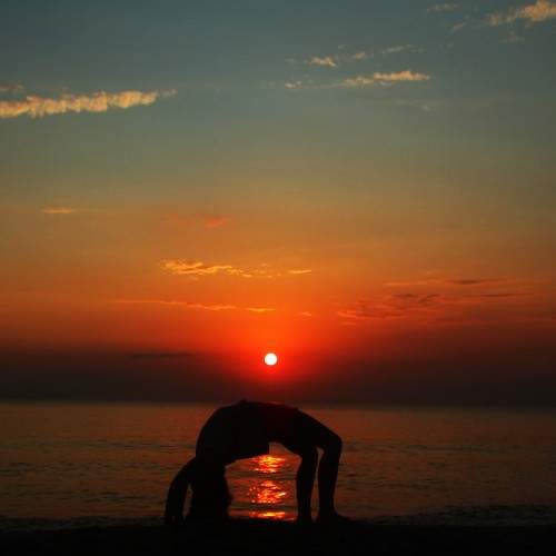 Photo #7690823
