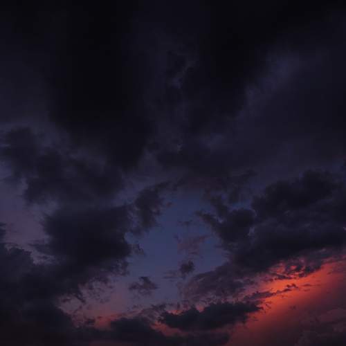 Photo #7691033