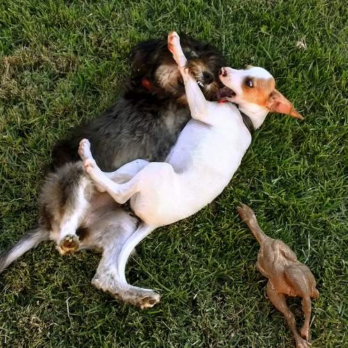 Photo #7691087