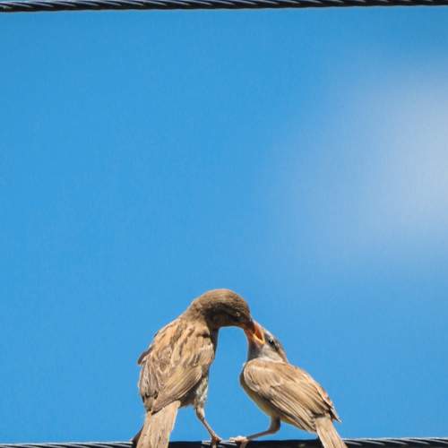 Photo #7691116