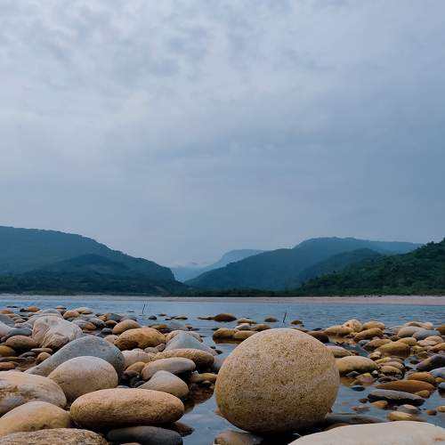Photo #7691163