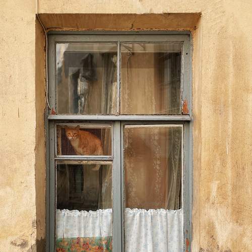 Photo #7691205