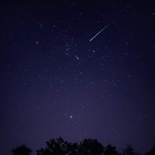 Photo #7691213